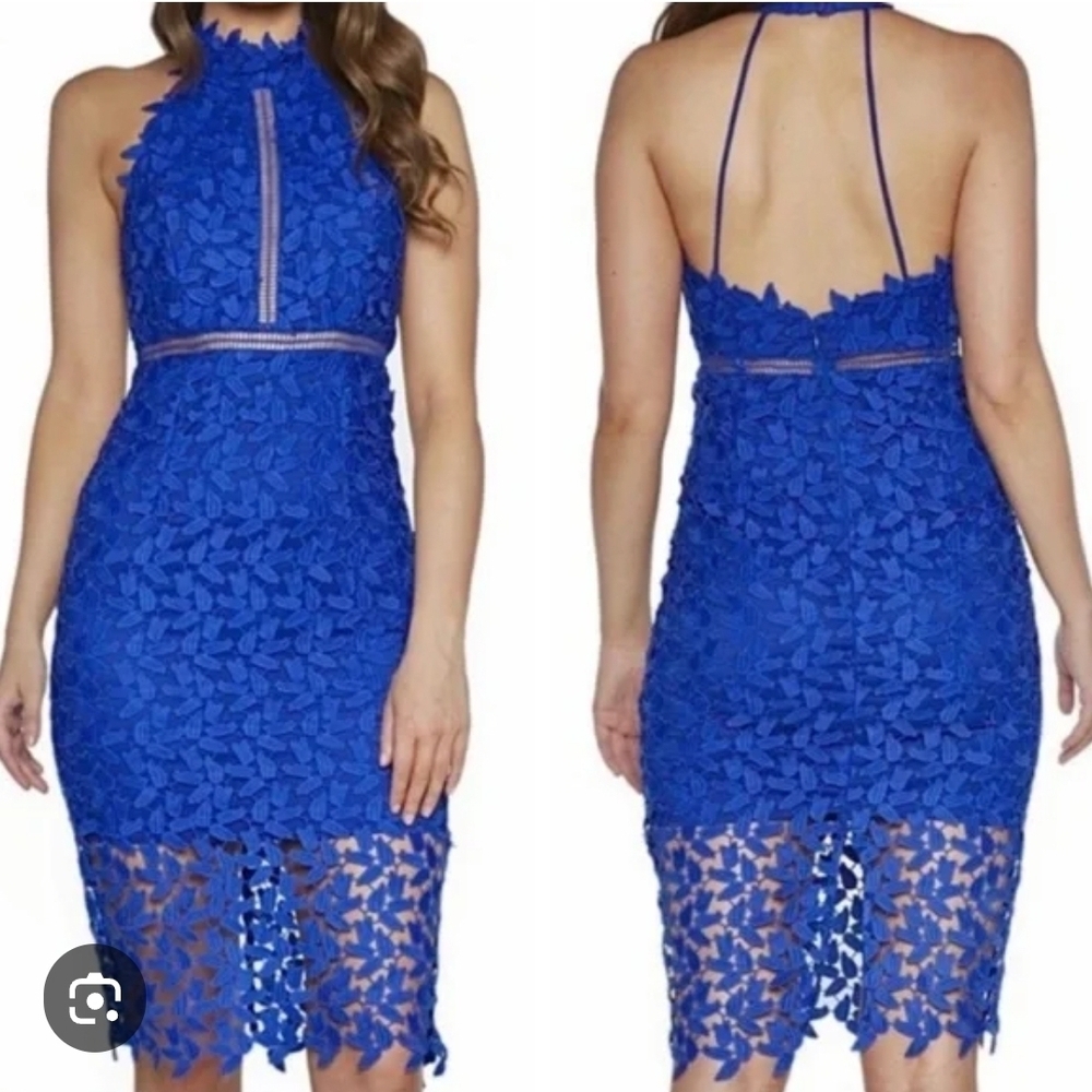 Bardot Cobalt Lace Midi Dress with Sheer Hem